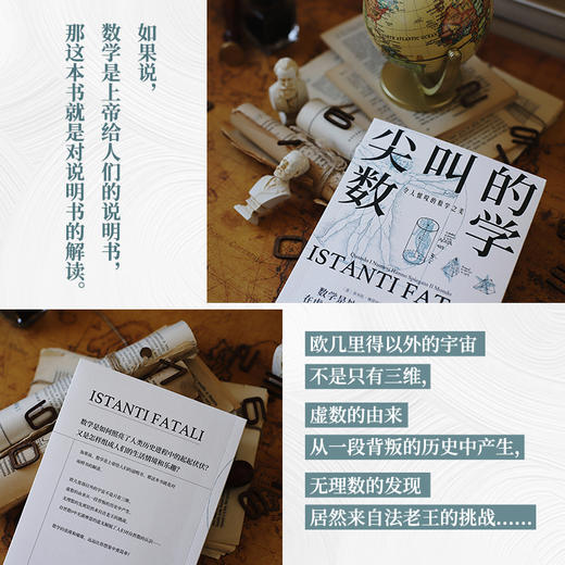 尖叫的数学 令人惊叹的数学之美 商品图1