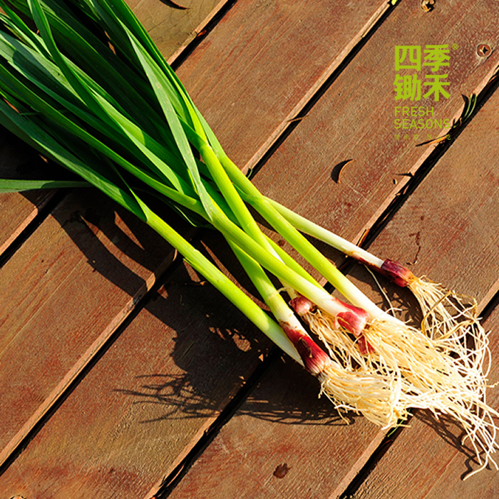 大蒜叶/老品种大蒜叶（100g）