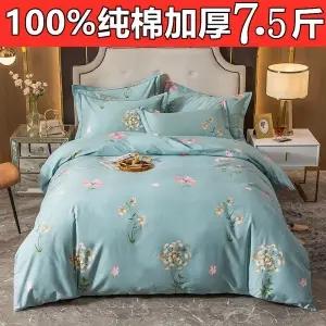 【原价500多】纯棉加厚磨毛四件套全棉秋冬1.5m1.8米床单被套 商品图11