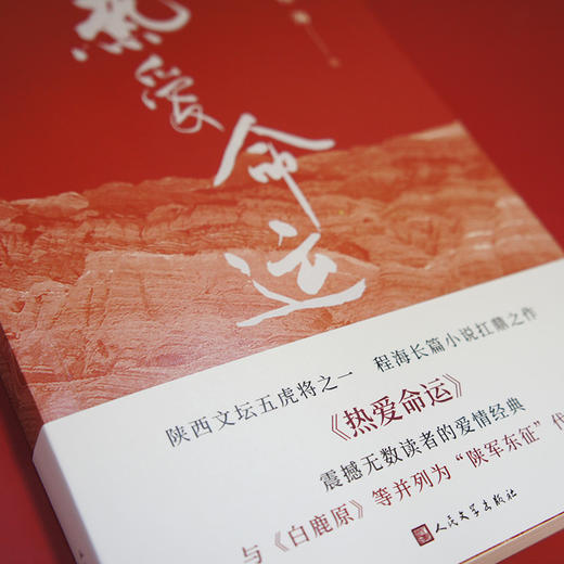 热爱命运 陕西文坛五虎将 程海长篇小说 3000842 商品图4