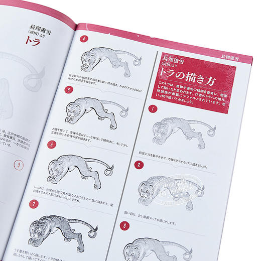 【中商原版】用毛笔描绘的日本画中的动物们 日文原版 筆ペンで描く日本画の動物たち 商品图3