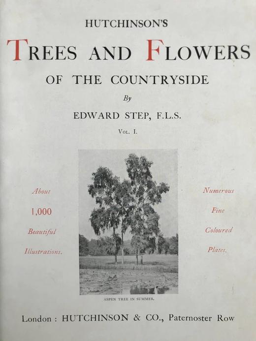 约20世纪早期 哈钦森郊外树木与花卉图鉴（全2卷） 约千幅插图 真皮精装16开 商品图3