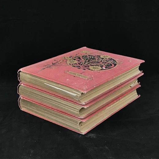 约20世纪早期 花卉种植者指南（全3卷） 45幅彩色版画与500余幅黑白版画插图 漆布精装16开 商品图1