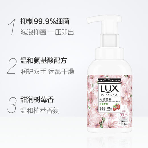 力士植萃奢宠泡泡抑菌洗手液225ML 沁润蕊粉 商品图1