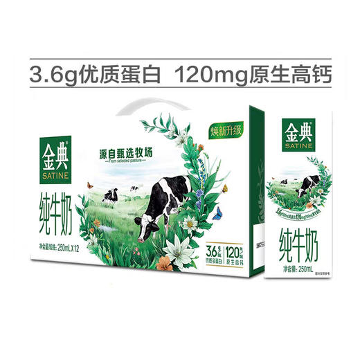 YS 伊利 金典纯牛奶 250mlx12盒  204002000100 商品图0