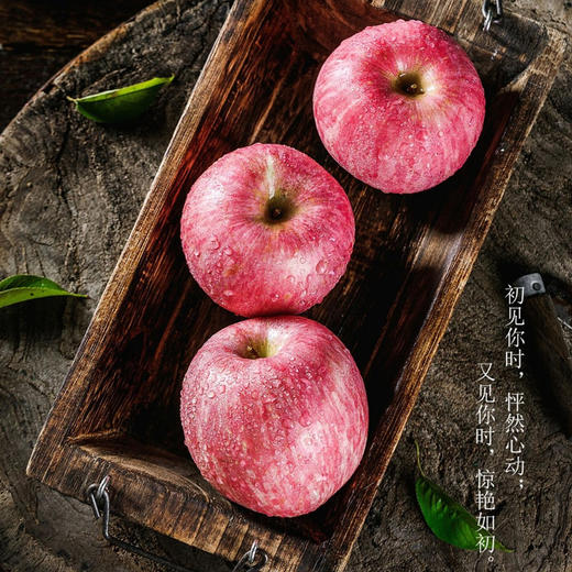 爆品回归！【亲享苹果】 喝羊奶长大的苹果亲享羊奶苹果   个大均匀 皮薄肉厚 肉质如羊奶般丝滑细嫩    春节不打烊 商品图2