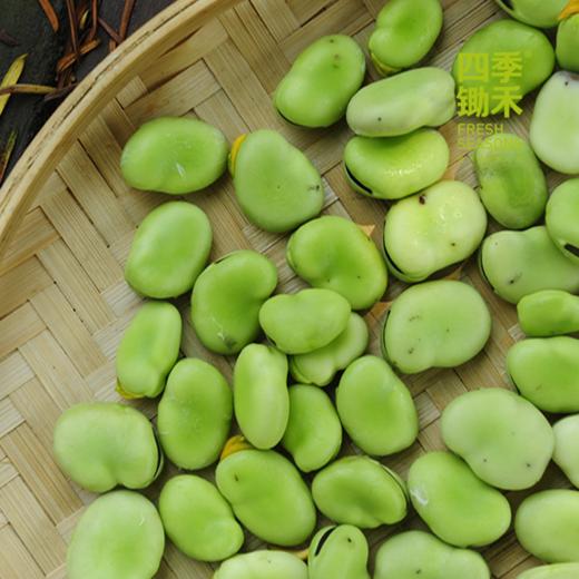 新鲜蚕豆仁250g（带皮）又叫兰花豆，带硬壳的不易氧化更新鲜哦 商品图0