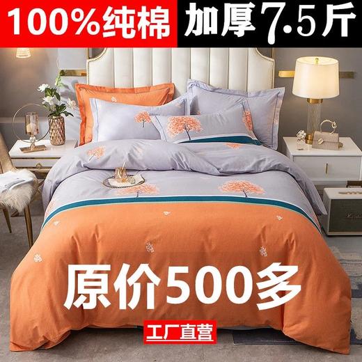 【原价500多】纯棉加厚磨毛四件套全棉秋冬1.5m1.8米床单被套 商品图0
