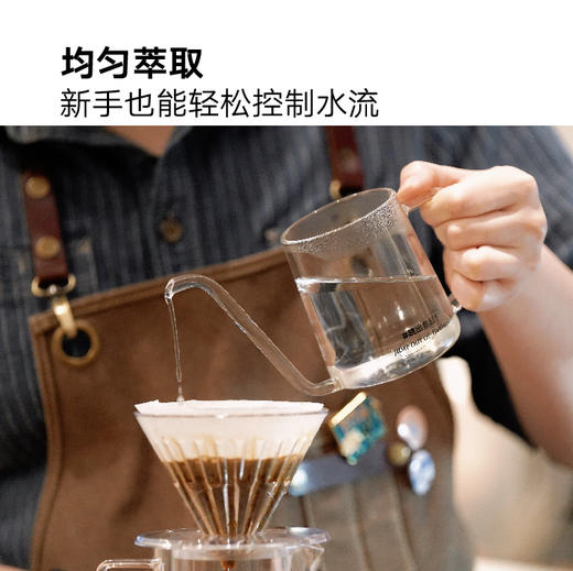 fishtank 定制挂耳手冲壶 家用玻璃细口壶 300ml 商品图1