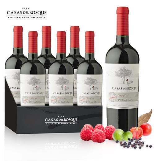 【IWSC国际葡萄酒暨烈酒大赛金奖】 卡萨博斯克珍藏佳美娜红葡萄酒 智利兰佩谷 13.5%vol 商品图1