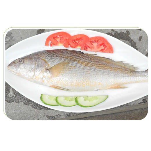 【秒杀】海和七道鲜渤海湾海鲜套组岳3.3kg 商品图4