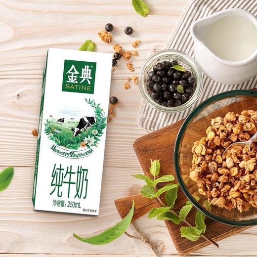YS 伊利 金典纯牛奶 250mlx12盒  204002000100 商品图2
