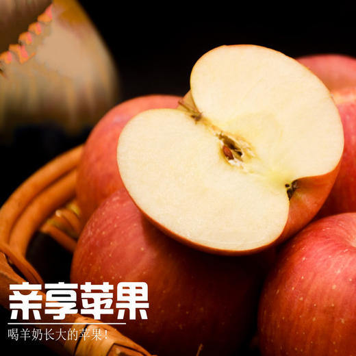 爆品回归！【亲享苹果】 喝羊奶长大的苹果亲享羊奶苹果   个大均匀 皮薄肉厚 肉质如羊奶般丝滑细嫩    春节不打烊 商品图4
