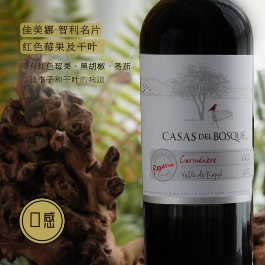 【IWSC国际葡萄酒暨烈酒大赛金奖】 卡萨博斯克珍藏佳美娜红葡萄酒 智利兰佩谷 13.5%vol 商品图2