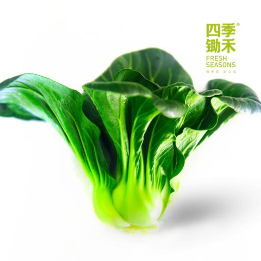 黑大头青菜（400g） 商品图4