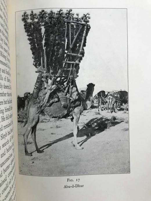 1931年 阿洛伊斯 穆齐尔《在阿拉伯沙漠中》 39幅插图 漆布精装大32开 商品图9
