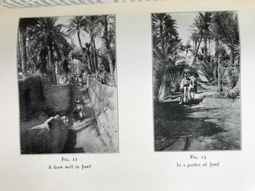 1931年 阿洛伊斯 穆齐尔《在阿拉伯沙漠中》 39幅插图 漆布精装大32开 商品图11