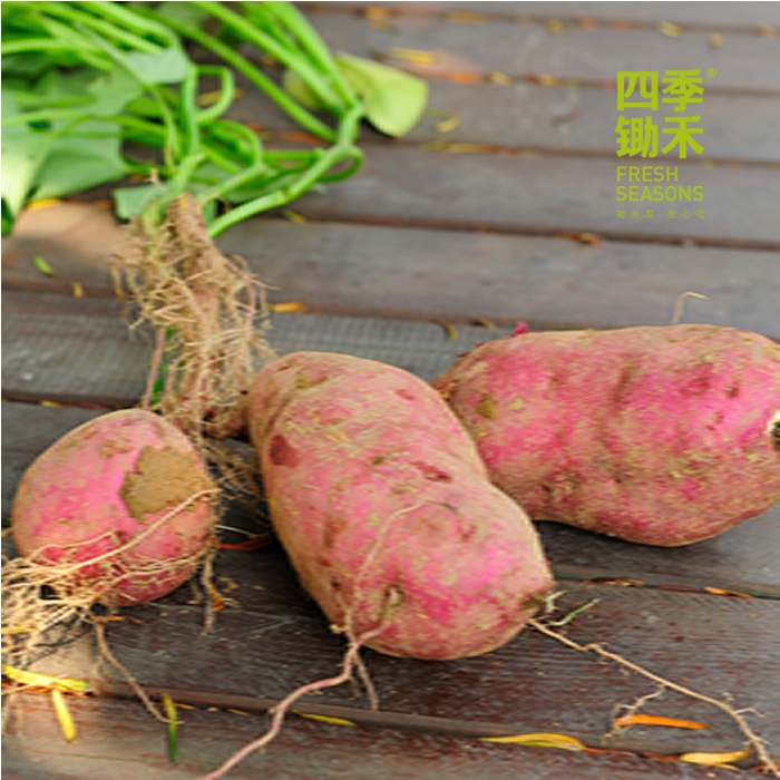 【全国邮政包邮】锄禾大番薯（5斤/箱）香甜软糯