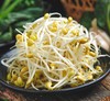 黄豆芽  500g【DD】 商品缩略图0