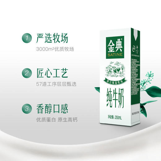 YS 伊利 金典纯牛奶 250mlx12盒  204002000100 商品图4