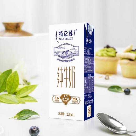 YS 蒙牛 特仑苏纯牛奶 250mlx12盒  130100000138 商品图5