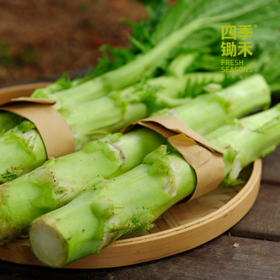 棒菜/老品种棒菜(500g)