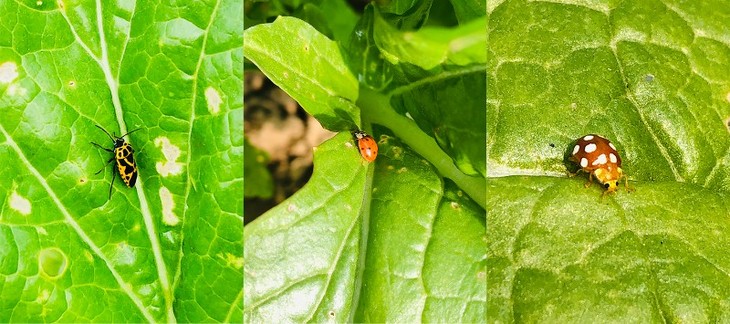 1635337758229336.jpg 7.jpg