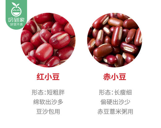 姥家莱农家赤小豆/1包（500g）生产日期：25年10月 商品图5