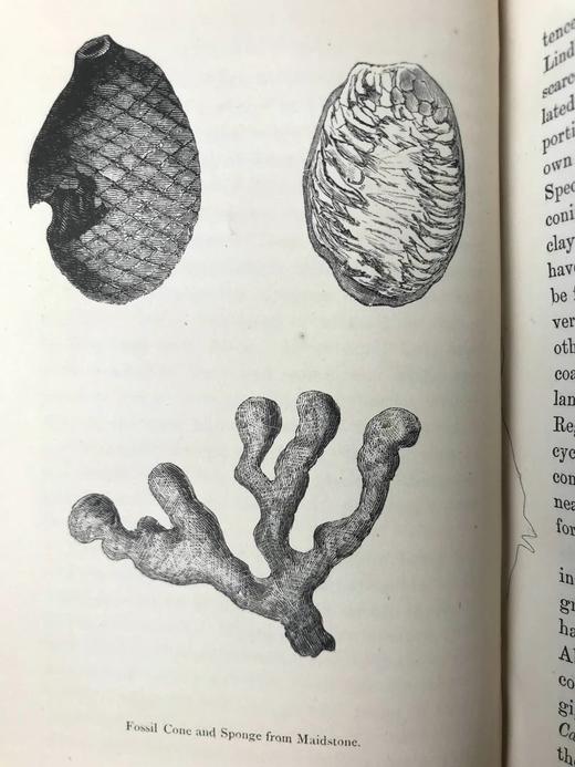 工坊特装本！1872年 休闲科学手册 7页版画插图 全真皮精装36开 商品图9