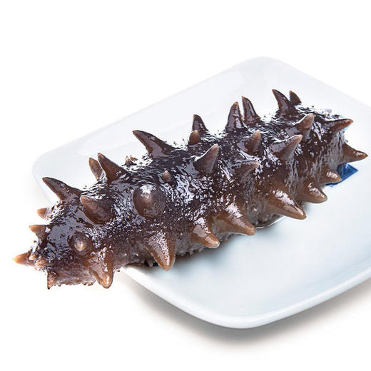 大连野生即食辽参，3斤装（40头-50头），深海捕捞，营养丰富，肉质肥厚，肉筋粗壮，老少皆宜的营养佳品D 商品图6