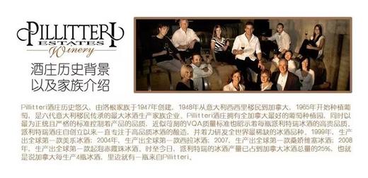 派利特瑞品牌 加拿大Pillitteri “古董车”美乐干红葡萄酒（跨境） 商品图5