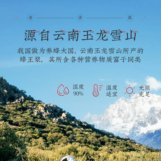 老滇凰鲜参王浆饮 商品图5