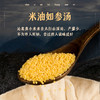 山西沁北黄小米 两年一季的米油稠厚 米香四溢 商品缩略图1