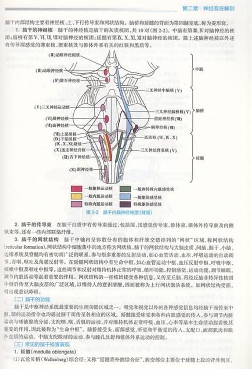 神经病学 第2版 国家卫生健康委员会住院医师规范化培训规划教材 神经系统的辅助检查 谢鹏 周东 主编9787117310574人民卫生出版社 商品图3