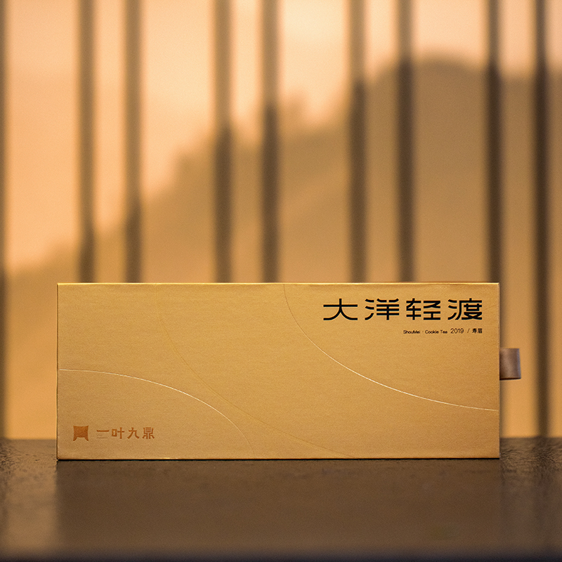 福鼎白茶 | 一叶九鼎 2019年寿眉 大洋轻渡 80g