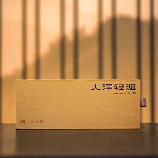 福鼎白茶 | 一叶九鼎 2019年寿眉 大洋轻渡 80g 商品图0