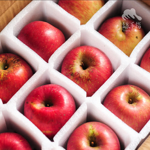 有机真的丑红富士苹果（满2件减20元） | 合作生产 Organic-real ugly Fuji apple | Coproduction 商品图4