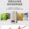 统帅（Leader）热水器JSQ25-13LK3BW（12T）（海尔出品） 商品缩略图7