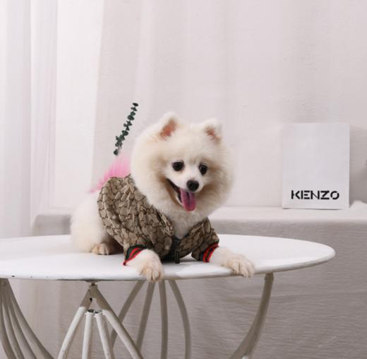 【宠物】狗夹克斗牛犬柯基博美宠物衣服带内衬 商品图3
