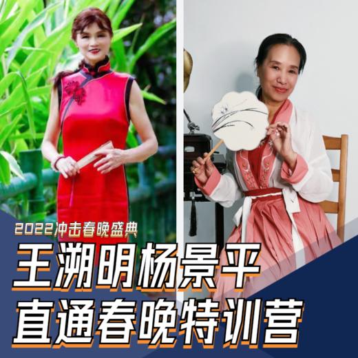 王溯明、杨景平导师直通春晚特训营 商品图0