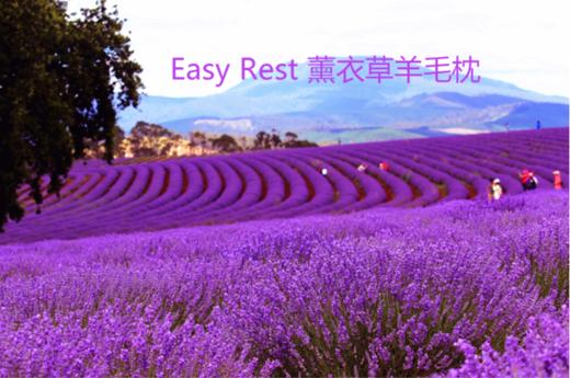 澳大利亚原装进口EasyRest薰衣草精油纤维羊毛枕头  健康卫士全棉面料舒适助眠保护颈椎环保包装 商品图1