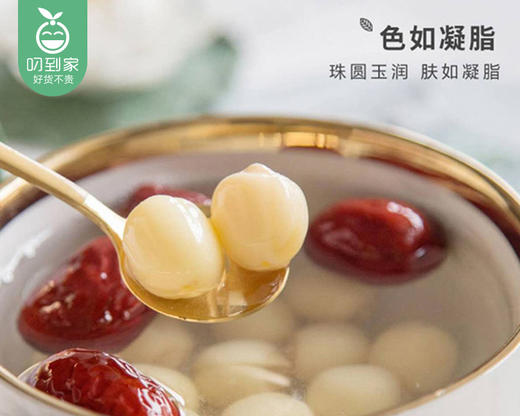 【到手2包】建宁白莲子-大果（干货）/1份（250g*2包）生产日期：26年3月 商品图2