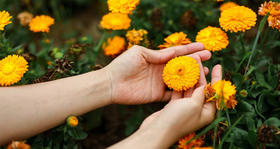 感官复苏 —— 合一文化节特别呈现