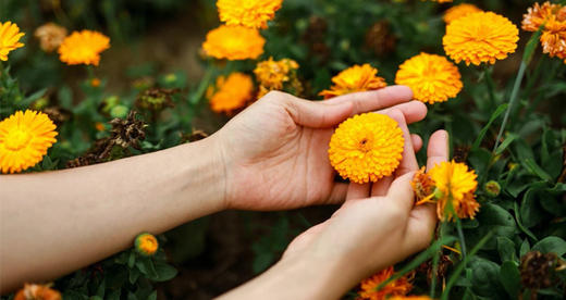 感官复苏 —— 合一文化节特别呈现 商品图0