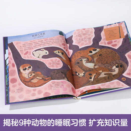 欢迎来到音乐厅 第二辑 宝宝睡前音乐 商品图5