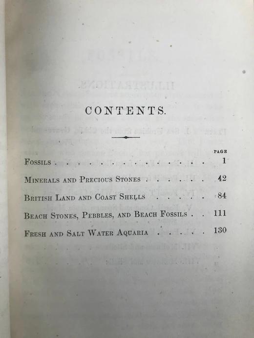 工坊特装本！1872年 休闲科学手册 7页版画插图 全真皮精装36开 商品图5