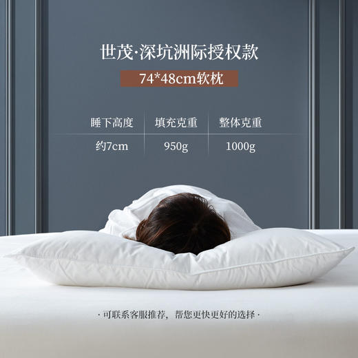 世茂希尔顿五星级酒店枕头夏季家用护颈椎枕芯助睡眠单人一对拍2 商品图2