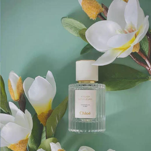 法国蔻依-chloe仙境花园北国雪松-50ml-150ml-会员6折 商品图2
