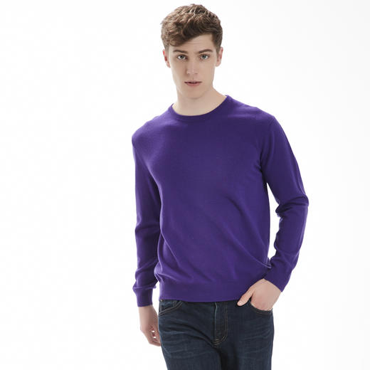 羊绒世家秋冬款纯山羊绒衫男青年商务休闲毛衣圆领宽松打底针织衫 商品图4