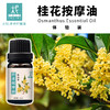 桂花精油/净油身体按摩油体验装10ml 商品缩略图0